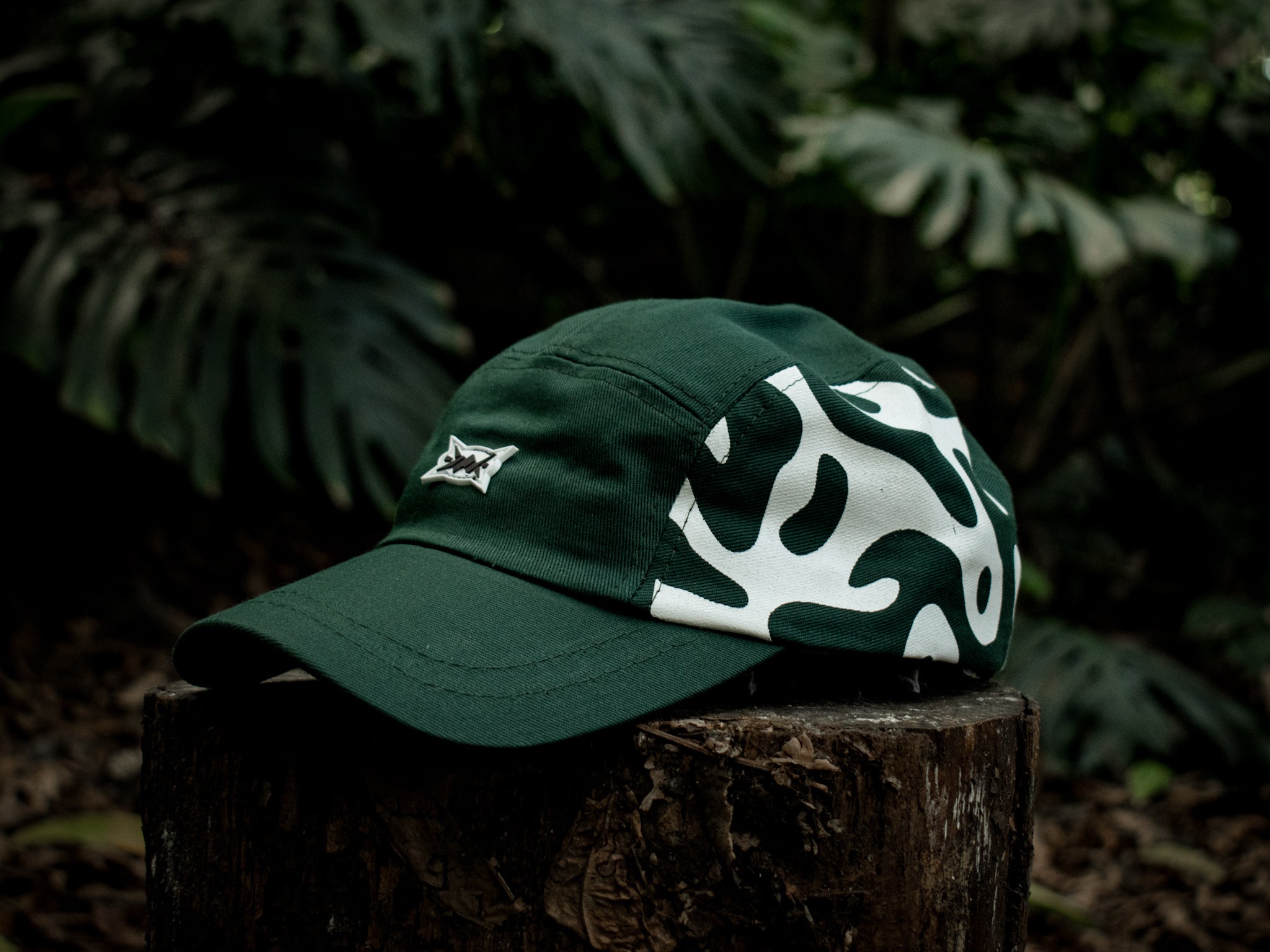 Gorra 5 Paneles Funk